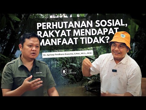 Perhutanan Sosial, rakyat mendapat manfaat tidak? #Perhutanansosial #kehutanan #pengelolaanhutan
