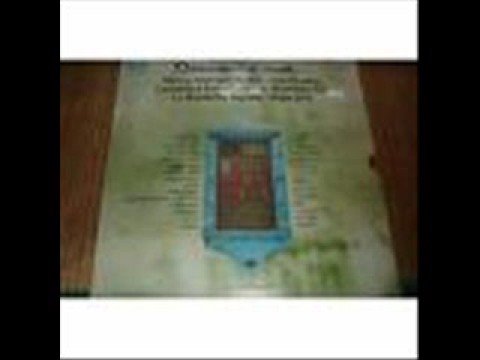 Falsaria video