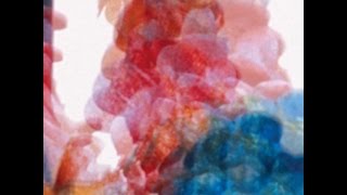 Dungen - Skit i allt (OFFICIAL MUSIC VIDEO)