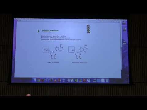Lecture #43 Ahern's BB 451 - DNA Replication I