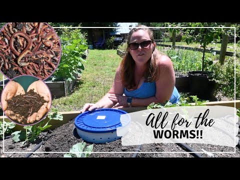In the Garden Worm Composting | Vermicomposting
