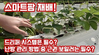 스마트팜 이 부분은 참고하세요!!! 드리퍼 관주 시스템이 모든 작물에 효율적으로 적용 되는 건 아닙니다!!