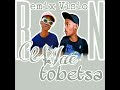 Shebeshxt & King Salama_Wae tobetsa ( remix )by Nanza SA