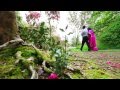 1st birthday song Full HD 