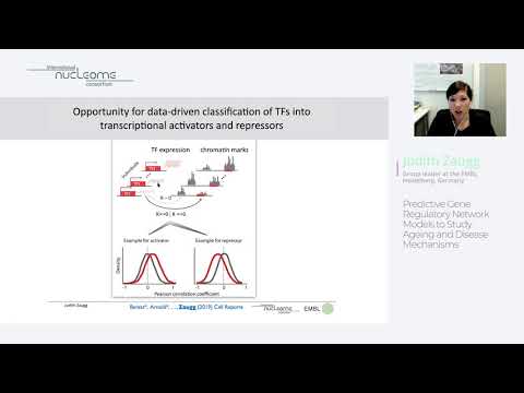 Judith Zaugg: "Predictive Gene Regulatory Network Models to Study Ageing and Disease Mechanisms“ INC