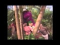 BMV The Having Fun Song Version 1