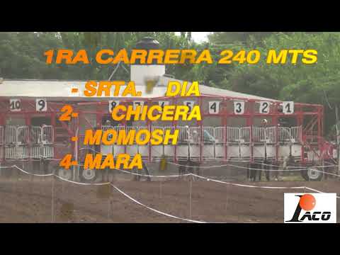 MOMOSHO HIPODROMO EL DESCUIDO EL BRETE 20 11 2022