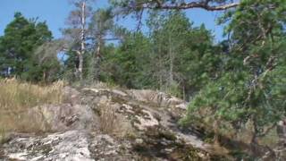 preview picture of video 'Parnassius apollo, Lohja, Finland - 2010'