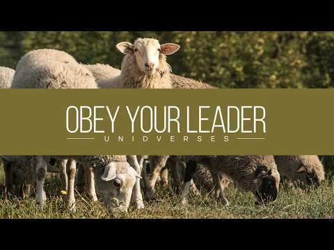 Obey Your Leader | UNIDVERSES