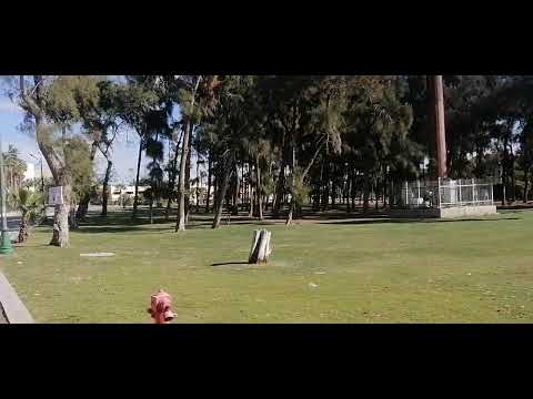 EGYPT |مصر | Alexandria Montaza Palace