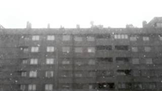 Volvemos a Empezar de Cero - Delafé y las Flores Azules