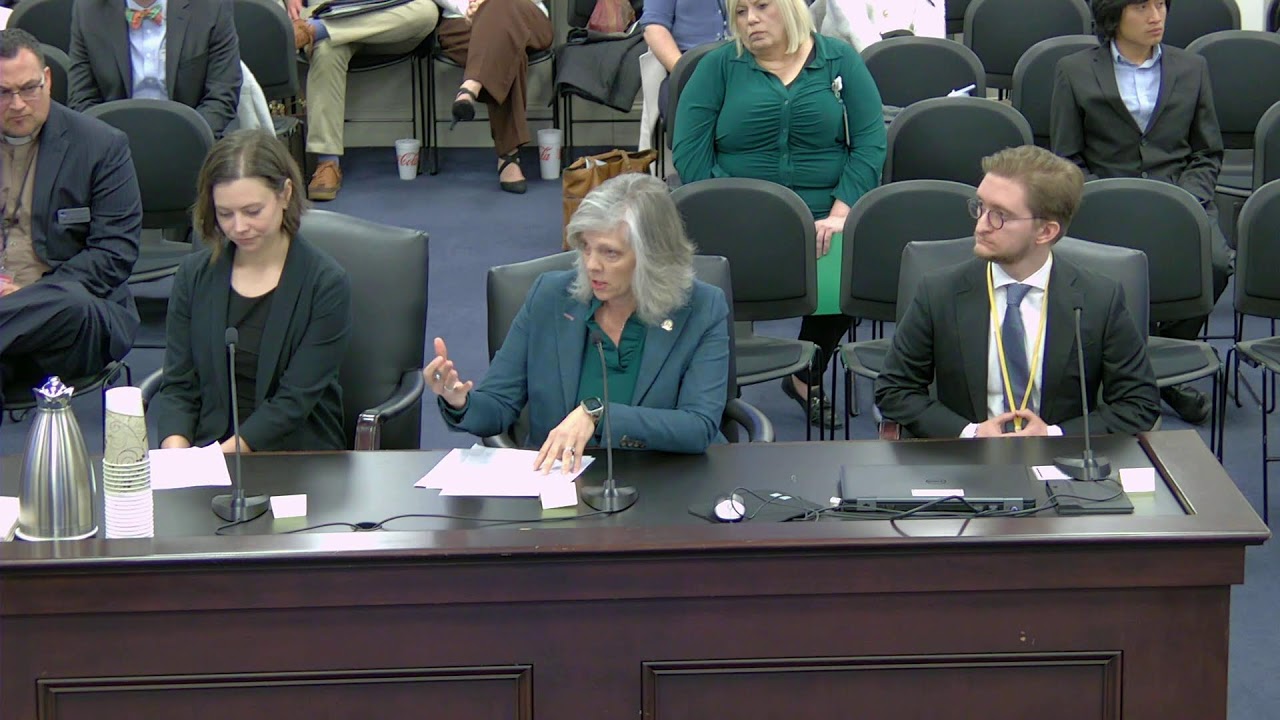 Senate Standing Committee on Families and Children.(3-17-26)