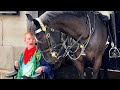 Be Inspired by This Royal king's horse guard unbelievable kind Act!