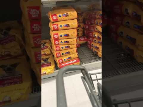 Dog food #Dogs #pedigree #Fat #Koshi #dadanddaugter