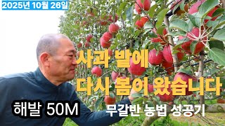 [사과재배] 정말 올해만 해보고 다 뽑아낼까 했습니다/ 충남홍성 박종택 님