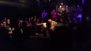 Obey the brave - c'est la vie