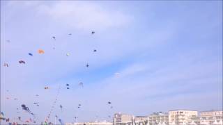 preview picture of video 'Scratch Bunnies World Sport Kite Championships Berck 2014'