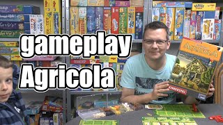 gameplay Agricola Kennerspiel mit Elias (Lookout) - ab 12 Jahre