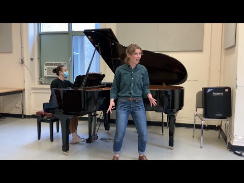 Saper vorreste di che si veste - Verdi’s “Un Ballo in maschera”