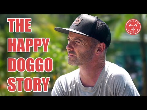 I Quit my Job to Save Street Dogs