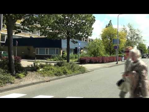 Cab ride bus; Veolia lijn 36: Den Haag-Schiedam