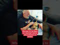 Is My Dog TOO BIG to be a Lap Dog? #dog #dogs #cutedog #funnydogs #shorts