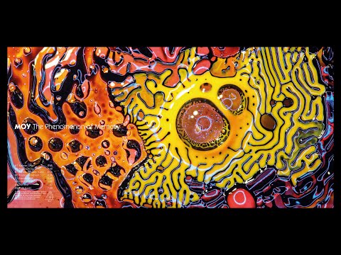 MOY -- Positron Emisson