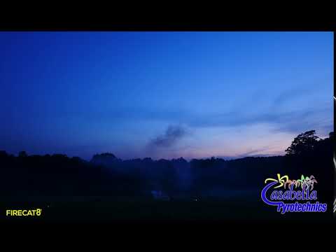 Dominator PFX5FR-GH Gold Horsetail