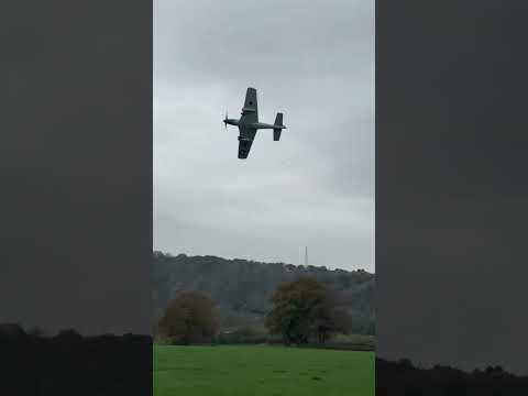 Mini Mustang Mayhem #flyforfun #mustang #rcplanes #rcplane