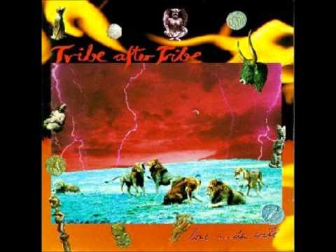 Tribe After Tribe - Proud & Beautiful