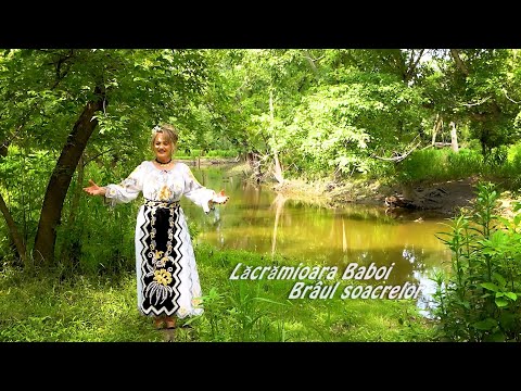 Brâul Soacrelor - Lacramioara Baboi