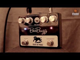 Black Cat Pedals Bee Buzz - What To Know & Where To Buy | Equipboard