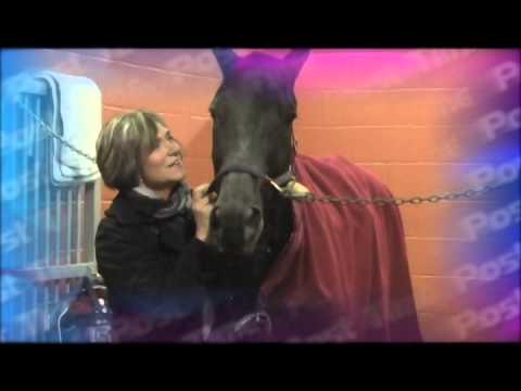 12 15 13 TVG Free For All