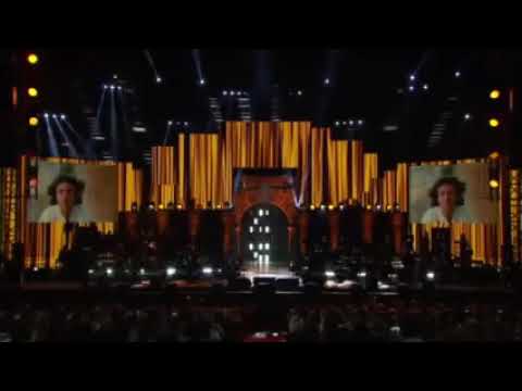 Arrivano i Gatti all’Arena di Verona