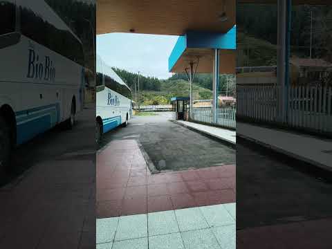 buses bio bio saliendo de terminal collao #buses