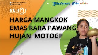 Terkuak! Segini Harga Mangkok Emas Rara Pawang Hujan MotoGP Mandalika, Dibanderol Fantastis