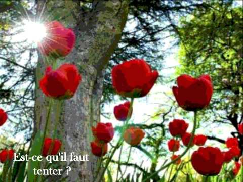 Marlon Roudette feat. Lala Joy - Anti Hero (Le saut de l'Ange). Vidéo clip avec paroles.