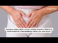 Bentuk Vagina Tiap Wanita Ternyata Bervariasi Apa Saja