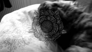 SWORN IN - HYPOCRISY (GUITAR COVER)