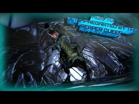 HOW TO GET IMPREGNATED BY A HIGH LEVEL REAPER QUEEN! RAGNAROK ARK SURVIVAL EVOLVED w/ Raising