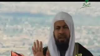 صورة محمد موسى الشريف | شخصيات اندلسية | ابو حيان الاندلسي