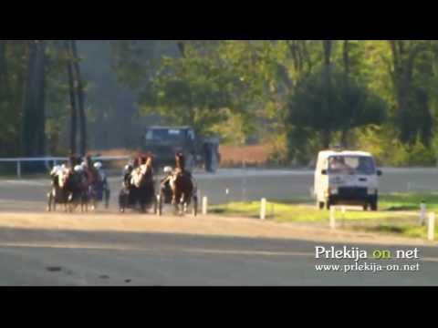 Kasaške dirke v Ljutomeru, 6. oktober 2012