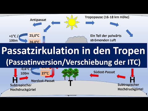 Trade wind circulation/Trade wind circulation in the tropics/Hadley cell/Trade wind inversion [Ge...