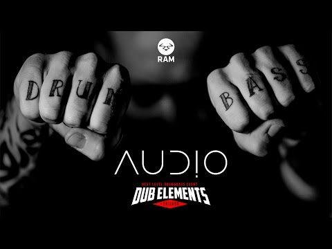 AUDIO (feat MC Coppa) @ DUB ELEMENTS & FRIENDS (Open Air Edition)