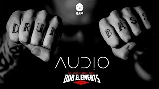 AUDIO (feat MC Coppa) @ DUB ELEMENTS & FRIENDS (Open Air Edition)