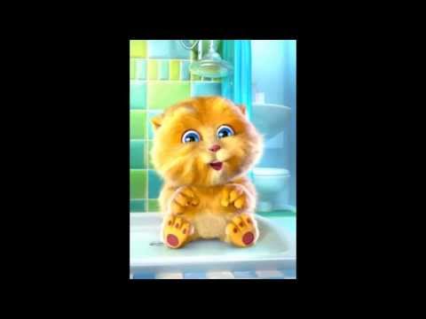 Funny cat singing in punjabi