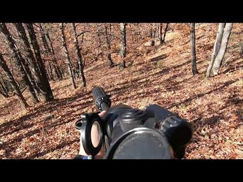 Wild boar hunting in Bulgaria