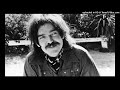 Captain Beefheart - This Is The Day [320kbps, best pressing]