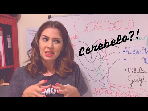 Cerebelo e suas Principais Funções  (anatomia, fisiologia e funcionalidade)