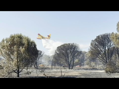 Forest fires break out as heatwave grips southern Europe | AFP